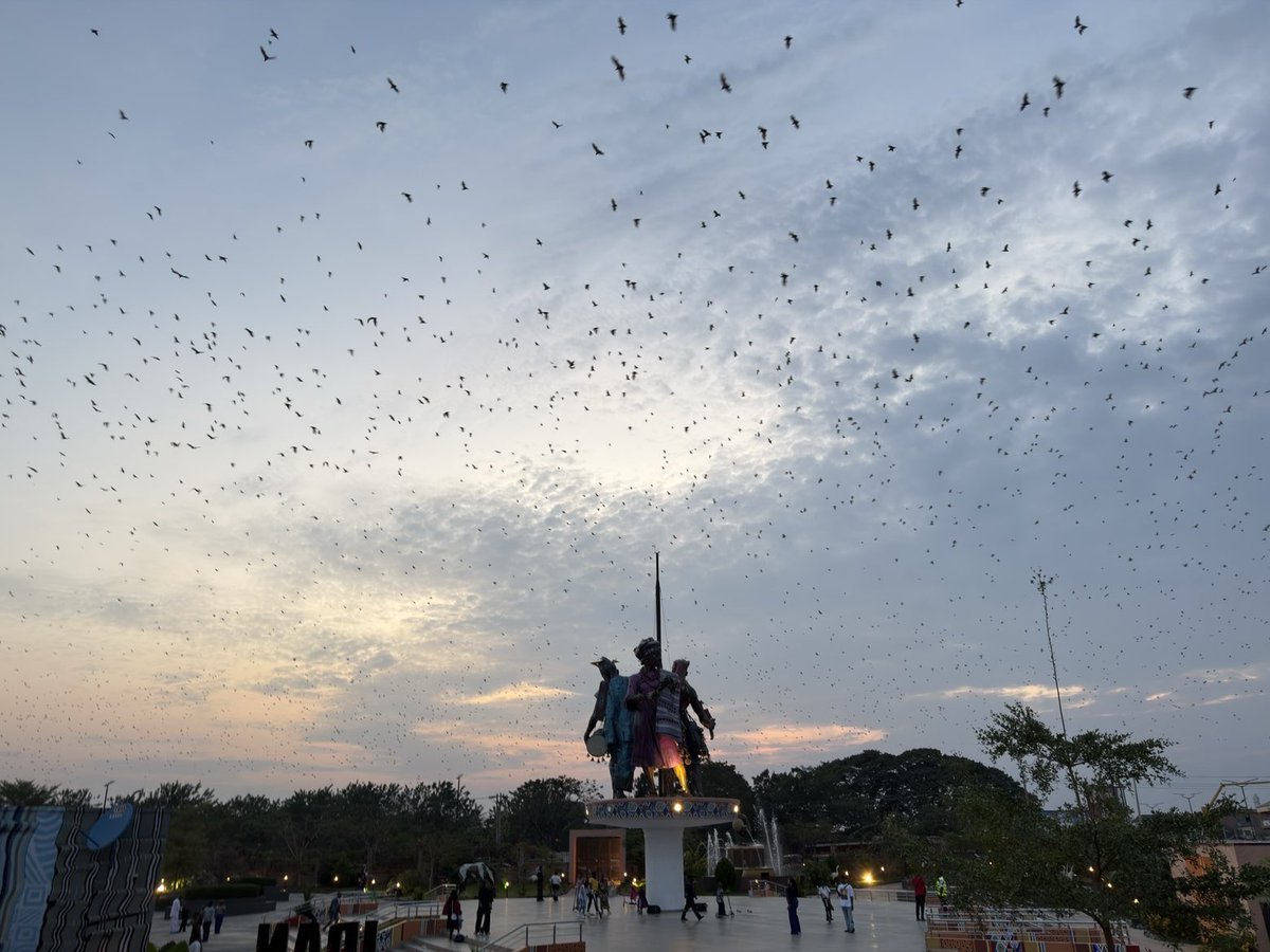 Towobola 🇳🇬🦅🇨🇦 tweet media