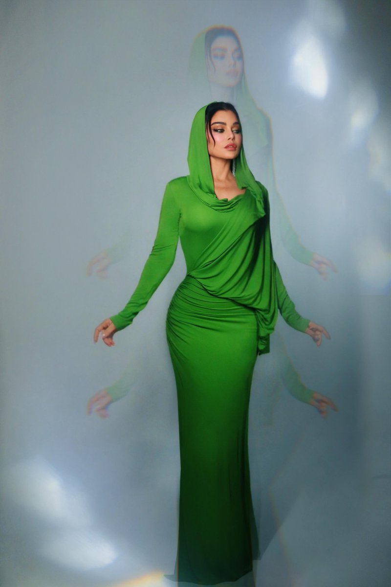 Haifa Wehbe tweet media