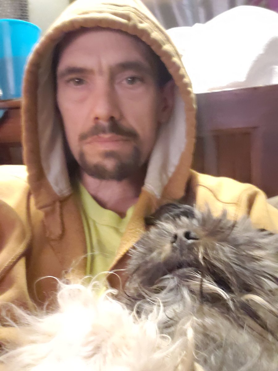 WeAllAteStardust tweet media