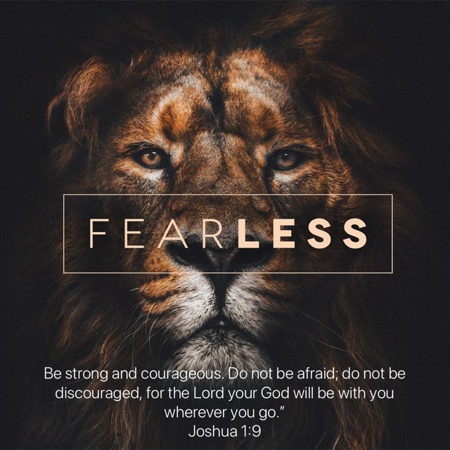 Sharon Wright tweet media