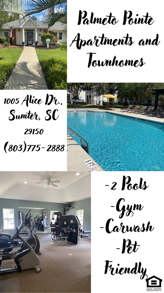 Palmetto Pointe Apt (@palmettopointe) on Twitter photo 