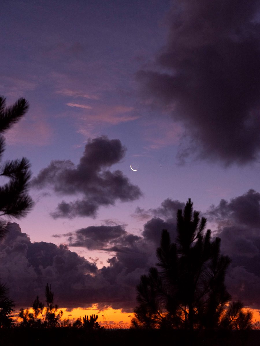 Nevin Johnson tweet media