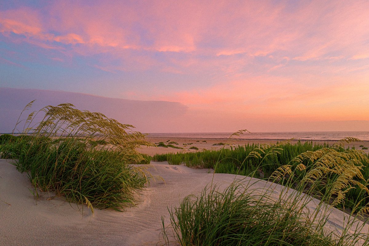 Nevin Johnson tweet media