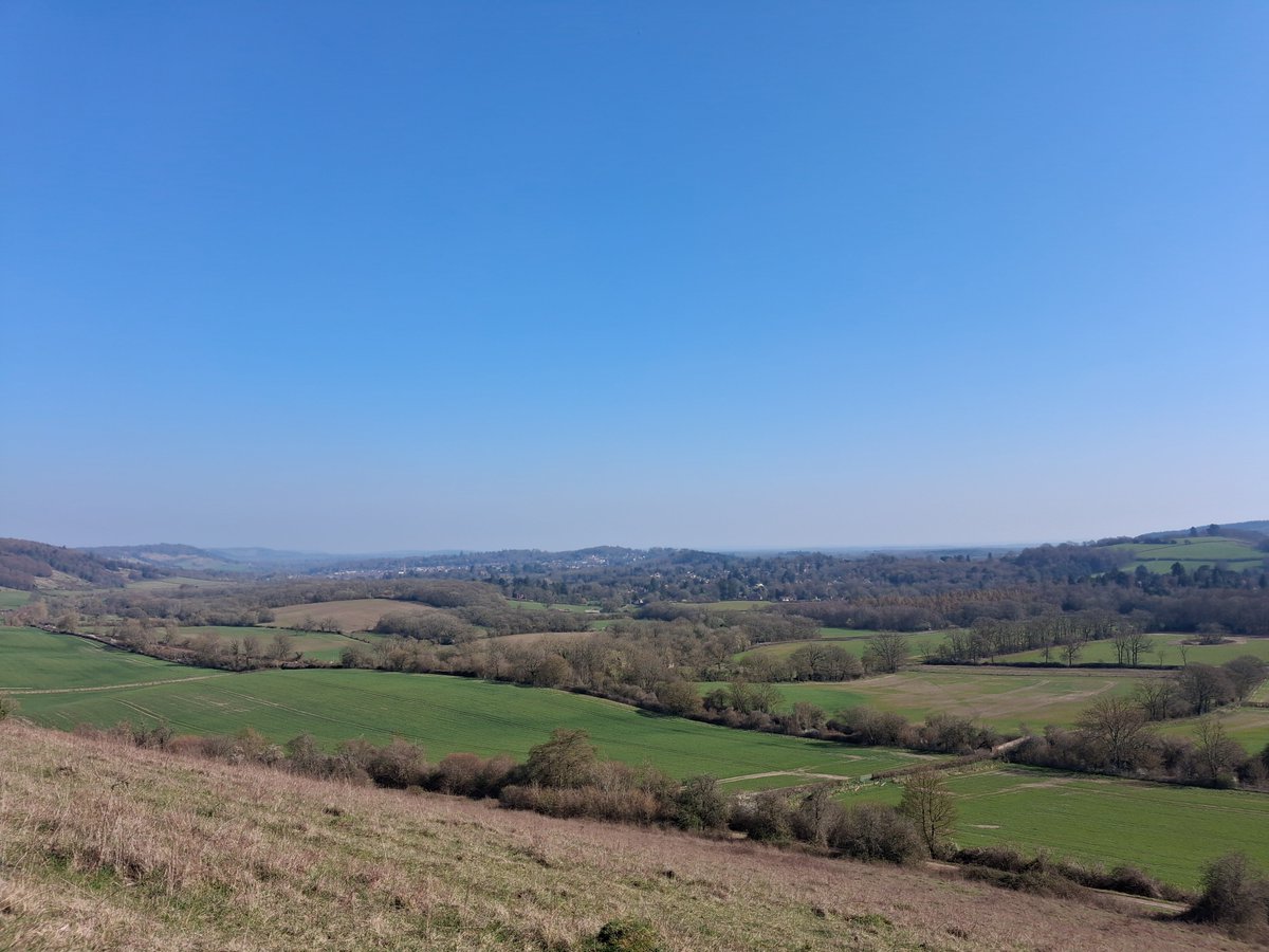 Beachmaster tweet media