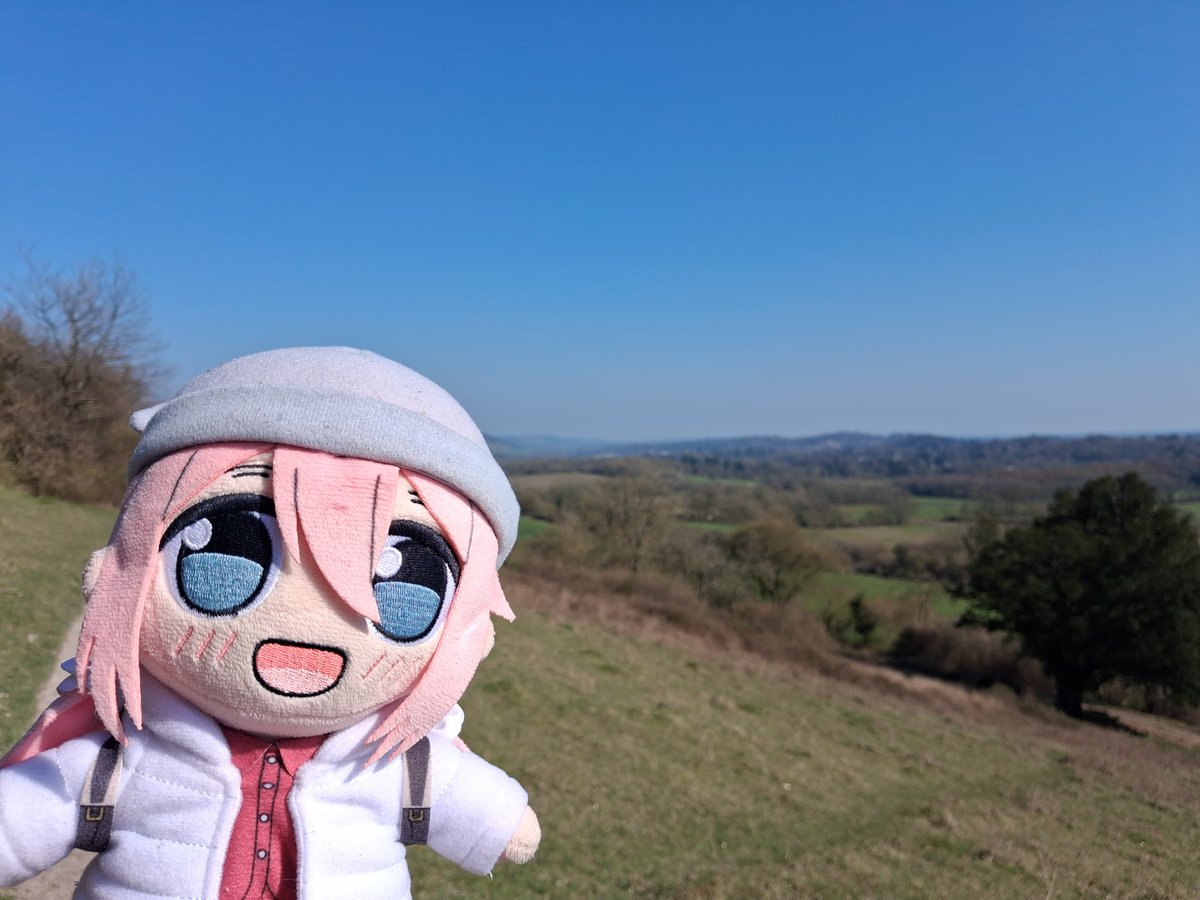 Beachmaster tweet media