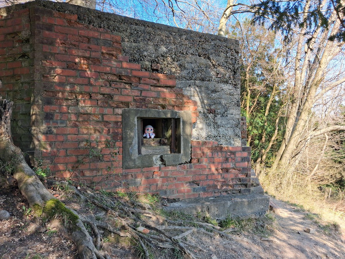 Beachmaster tweet media