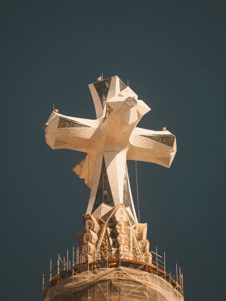 Wander Aesthetic tweet media