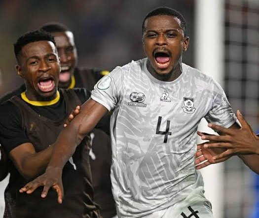 Colman Photo 🇿🇦 tweet media