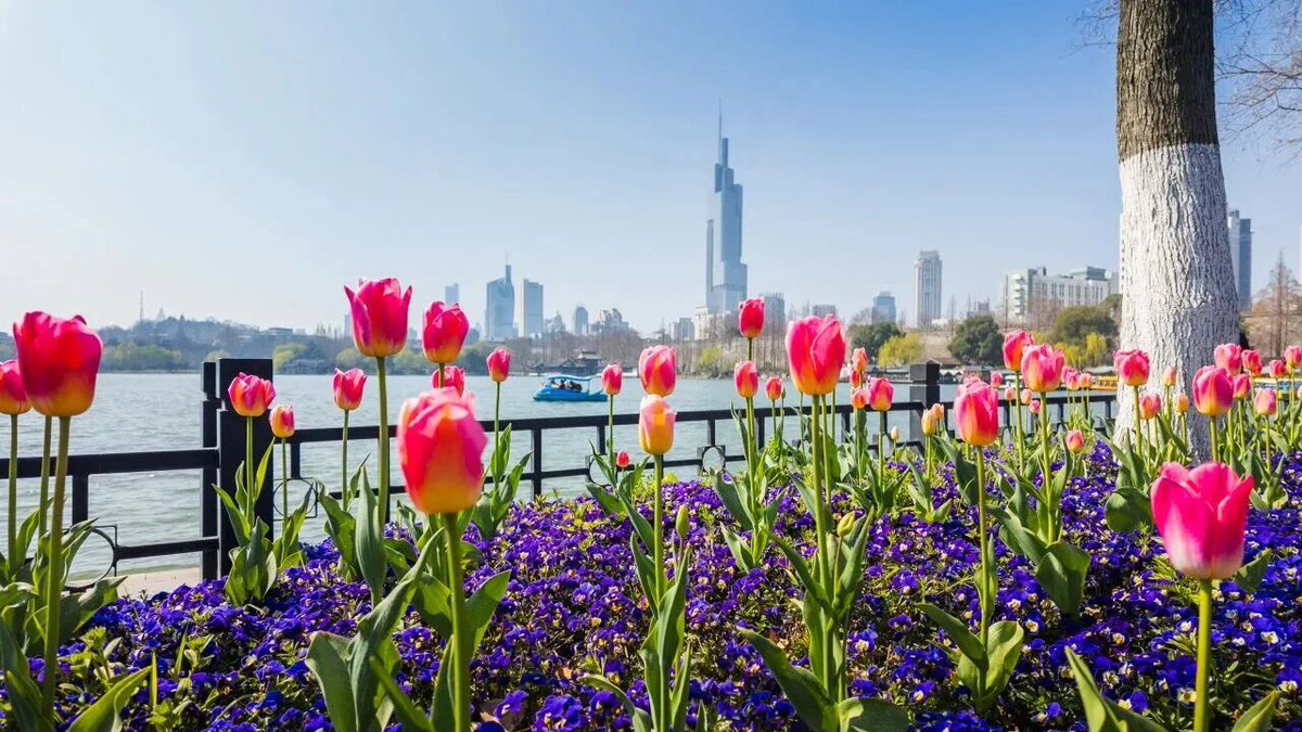 Modern Express 现代快报 tweet media