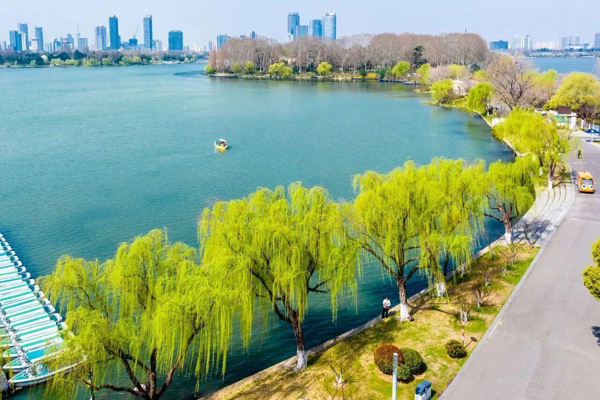 Modern Express 现代快报 tweet media