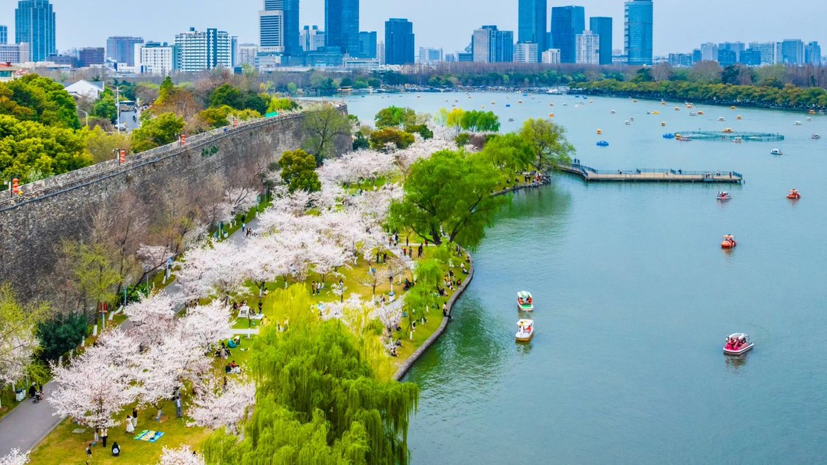 Modern Express 现代快报 tweet media