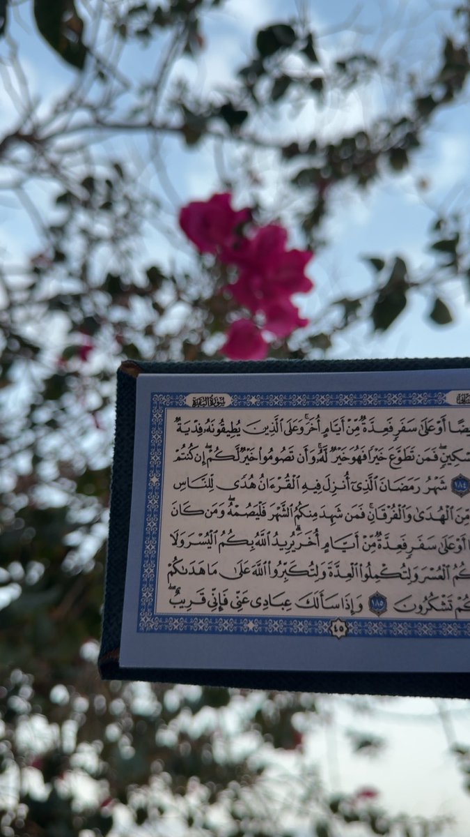 نُورا الغامدي. tweet media