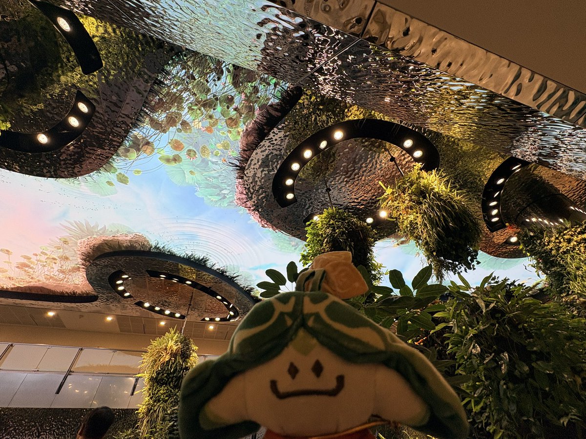 モトア tweet media