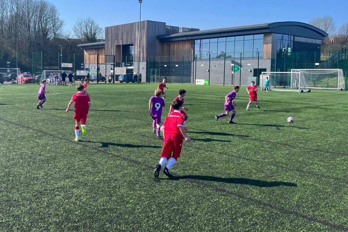 Tigers Trust tweet media