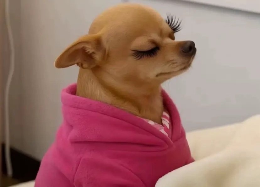 Bliss 🌹 tweet media