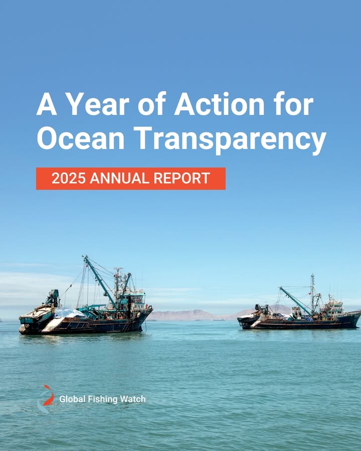 Global Fishing Watch tweet media