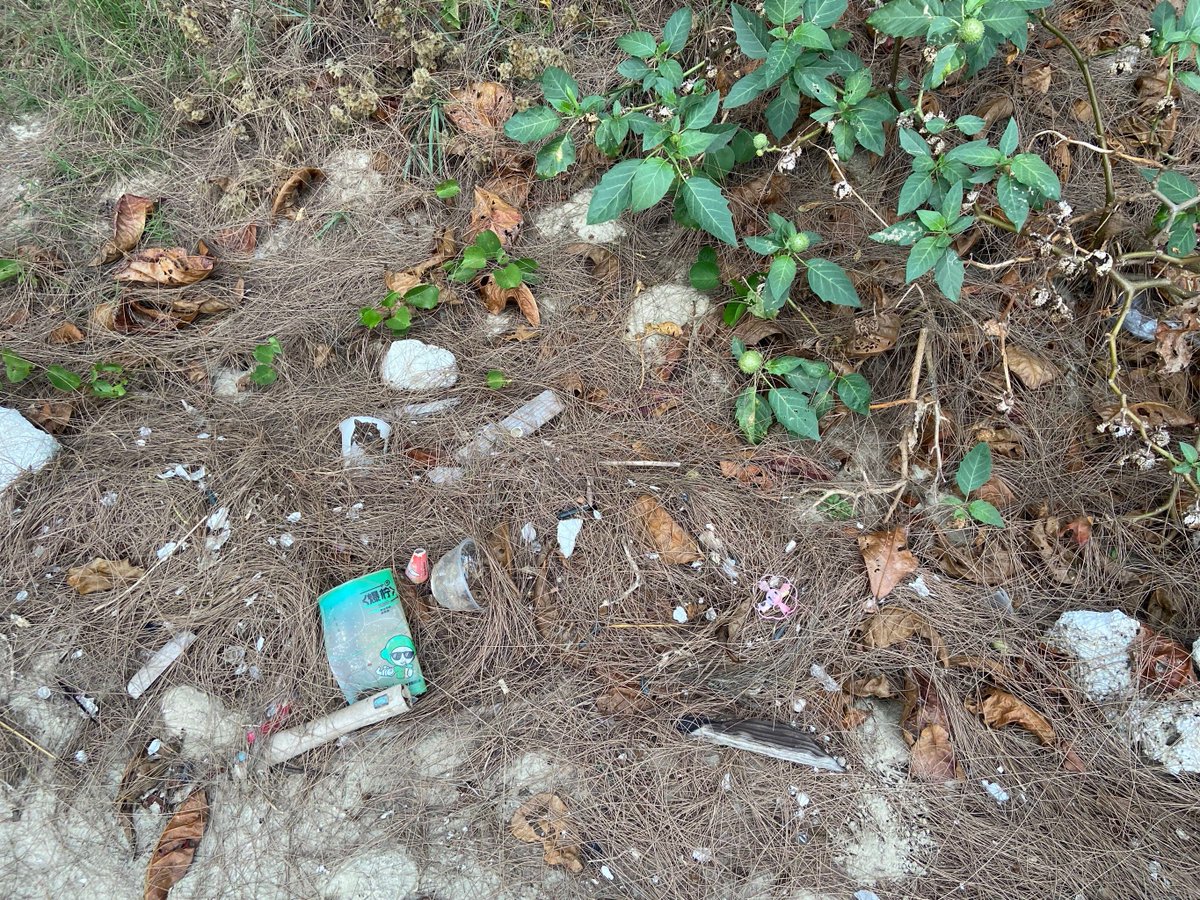 Raymond Sweeney tweet media