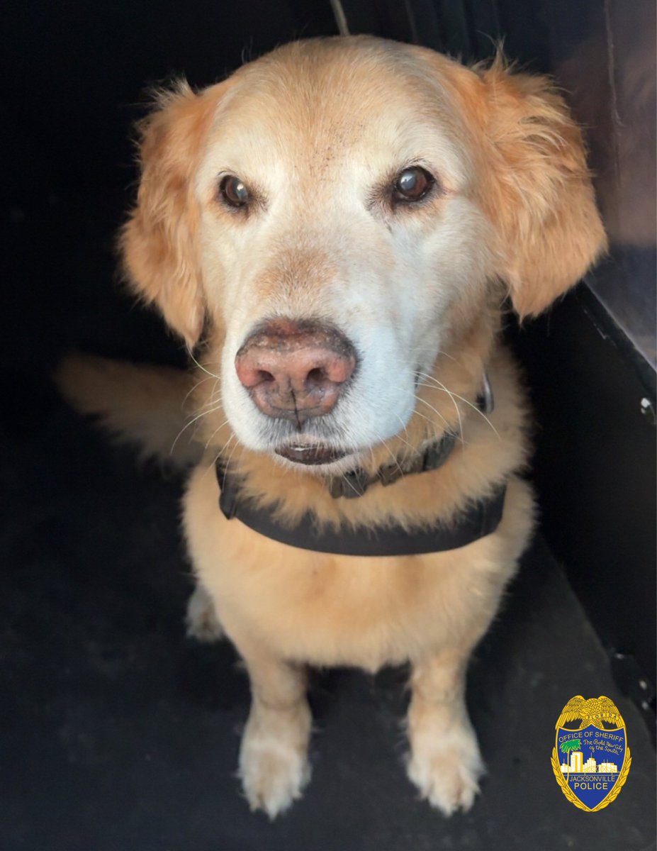 Jax Sheriff's Office tweet media