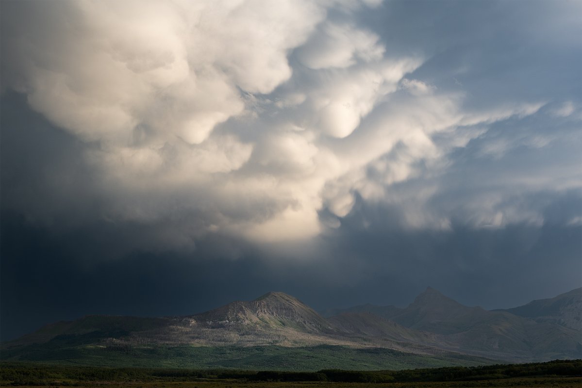 James Andrew tweet media