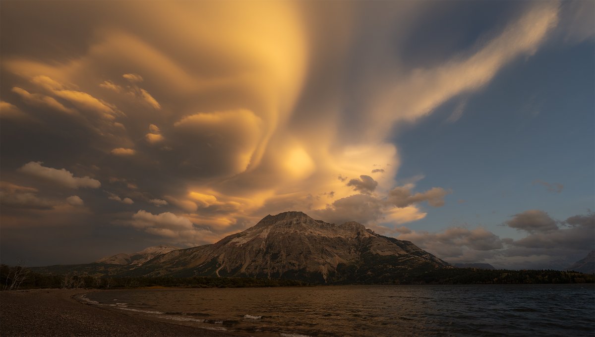 James Andrew tweet media