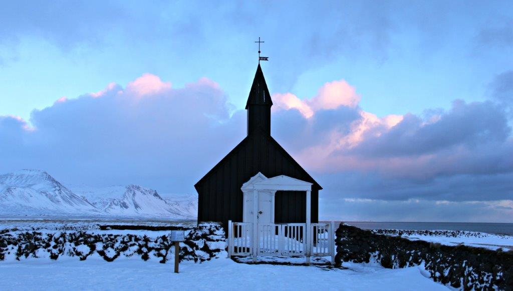 Elizabeth tweet media