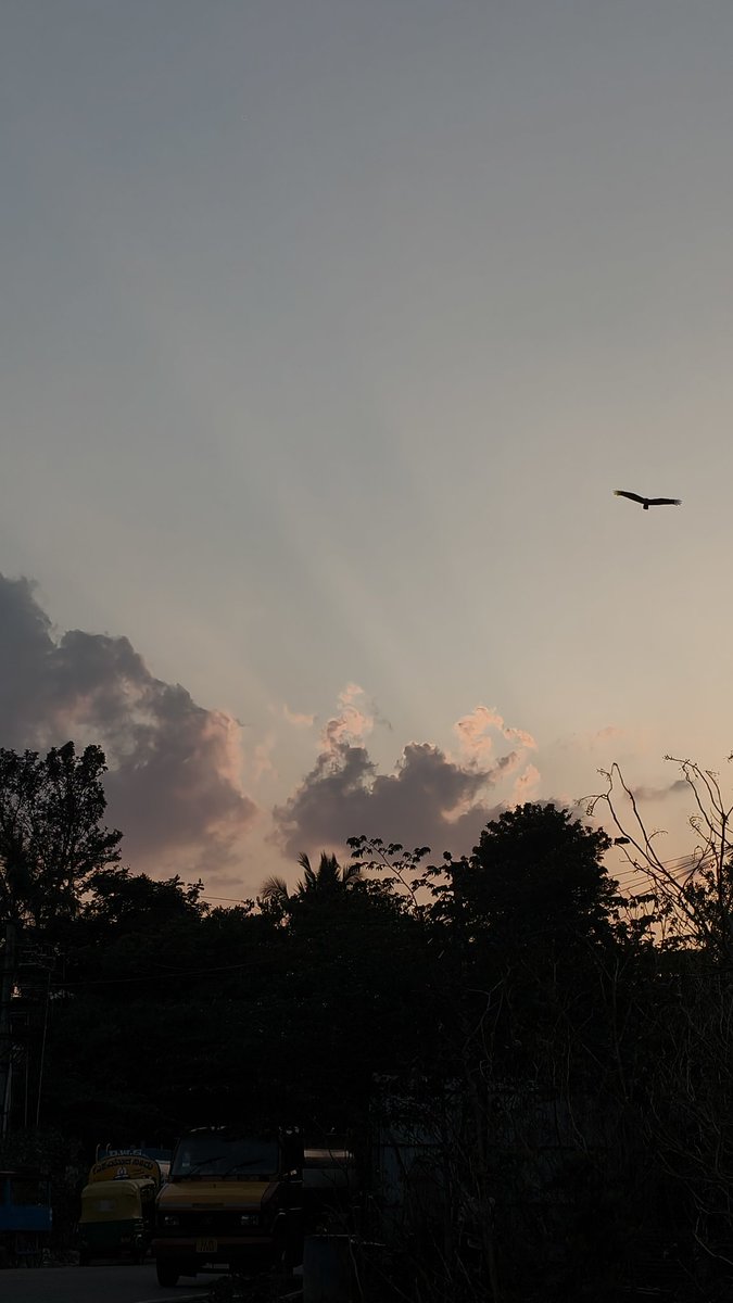 meghzz🌦 tweet media