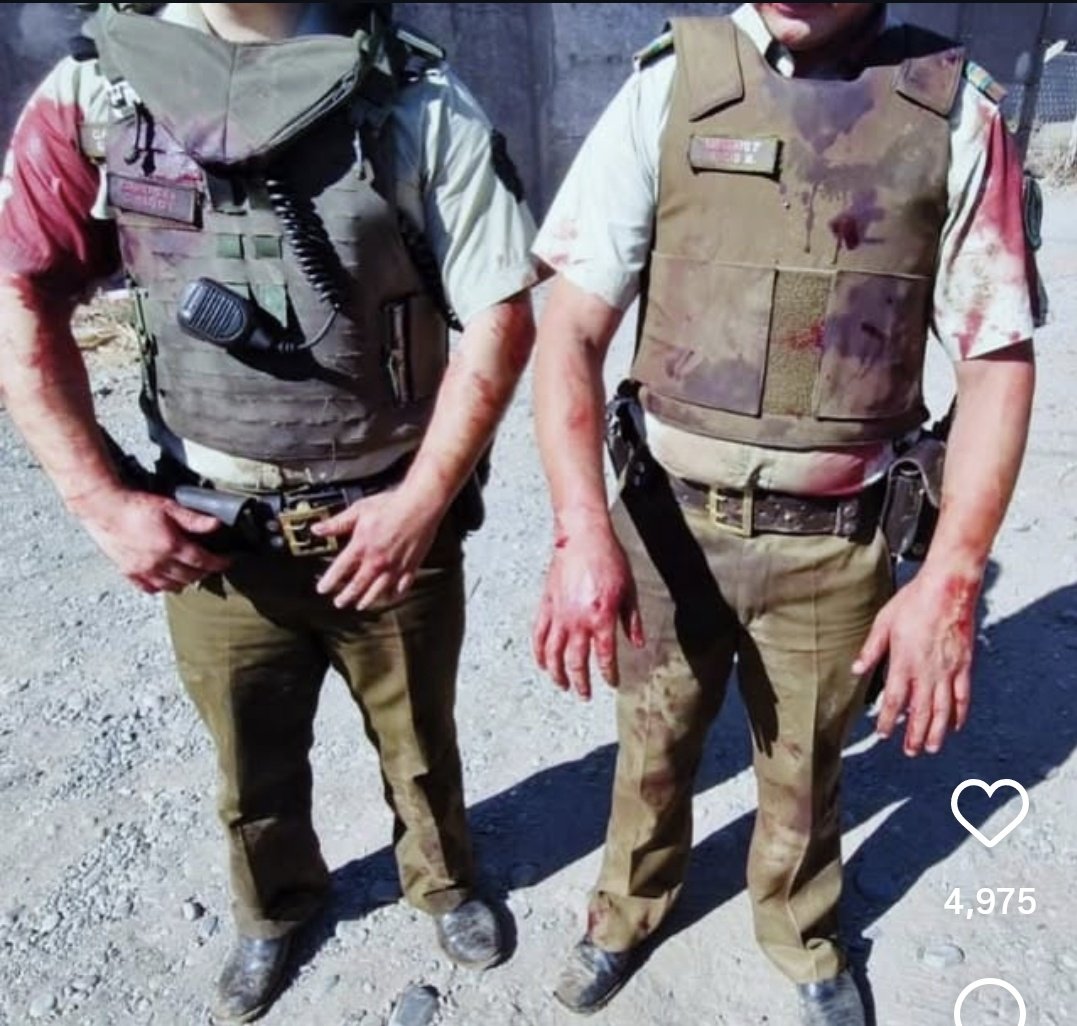 AlbertJulián informa🇨🇱 respaldo tweet media