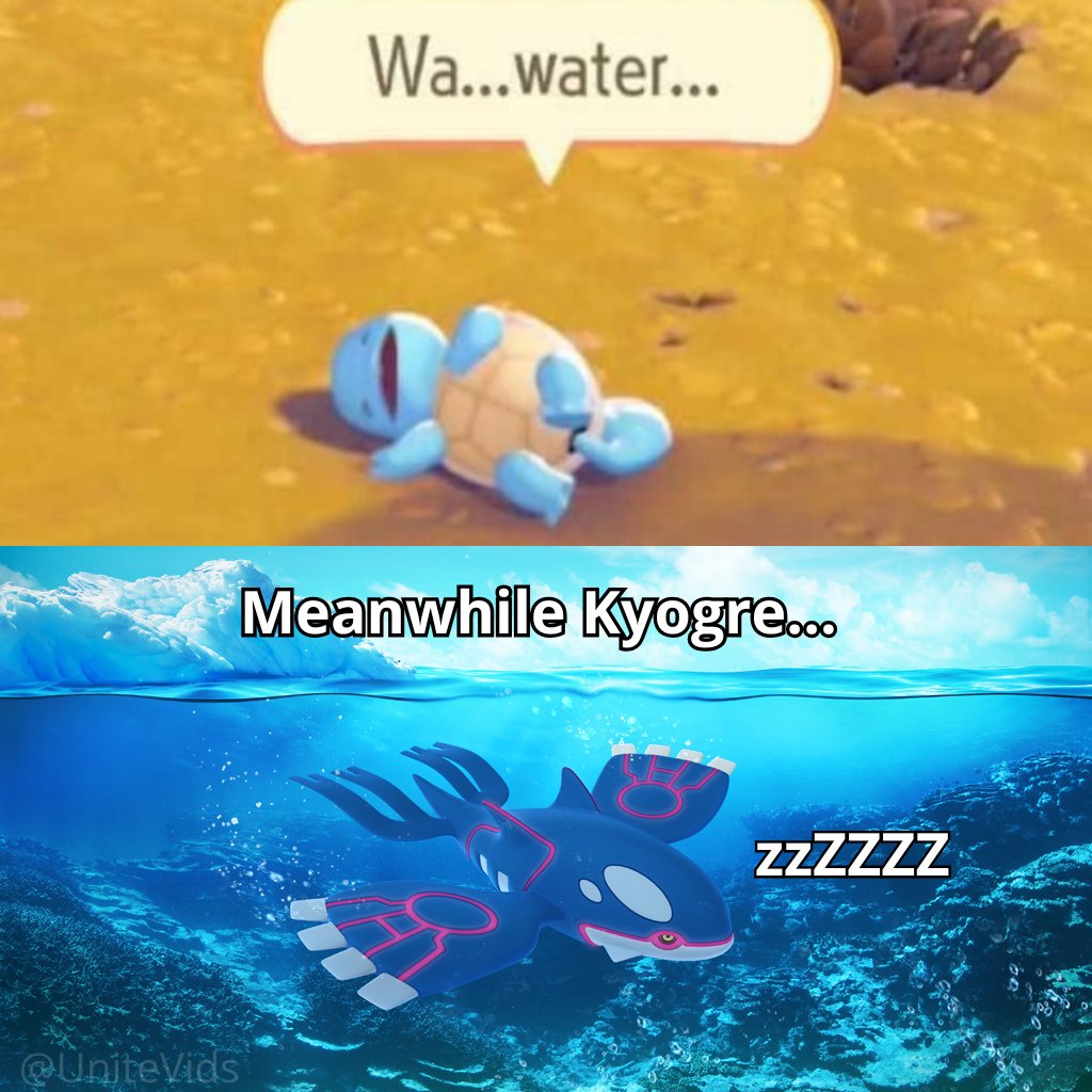 MAGIKARP🦈💦 tweet media