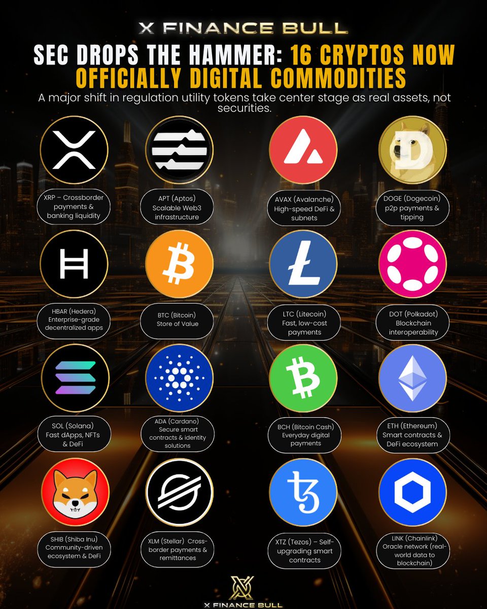 X Finance Bull tweet media