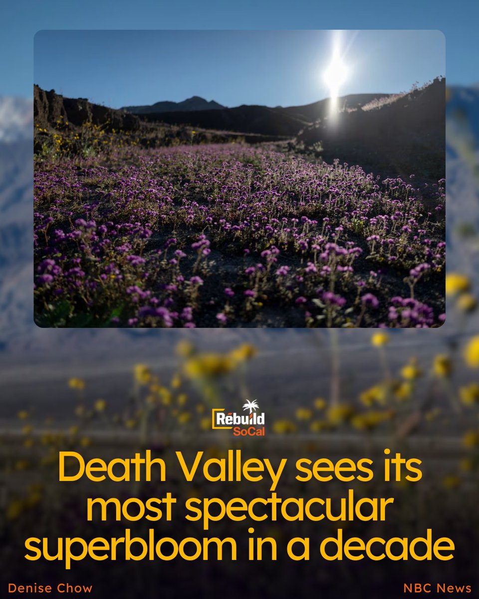 Rebuild SoCal tweet media