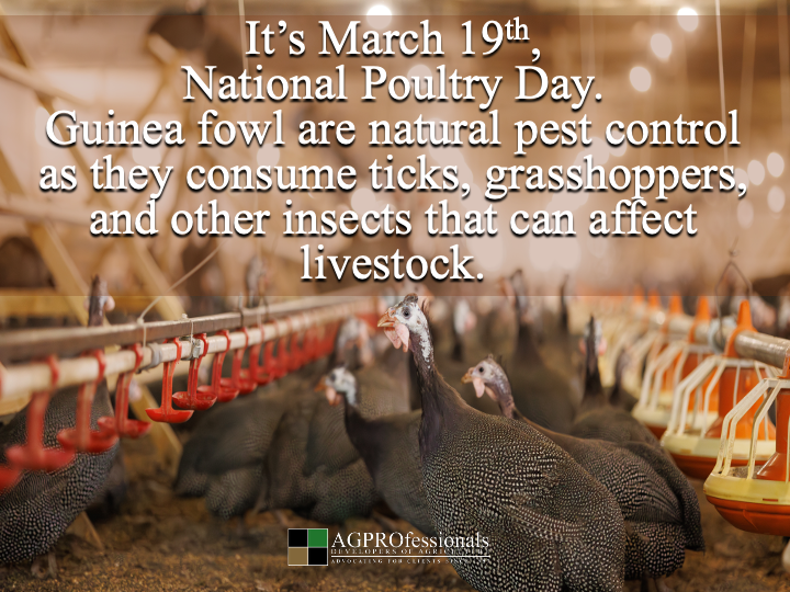 AGPROfessionals tweet media