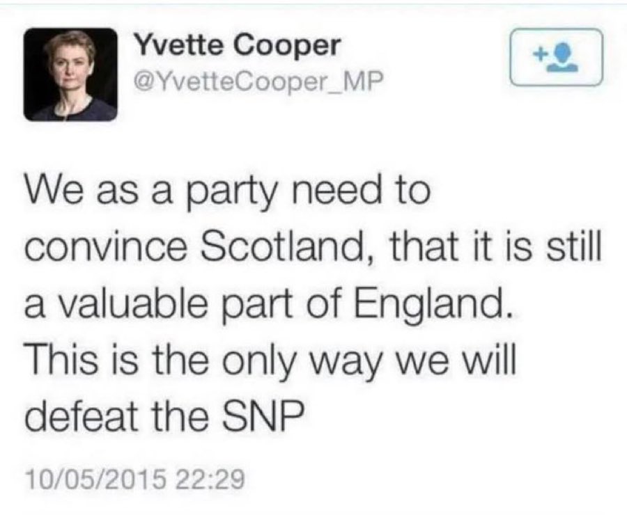 scott fitzpatrick tweet media