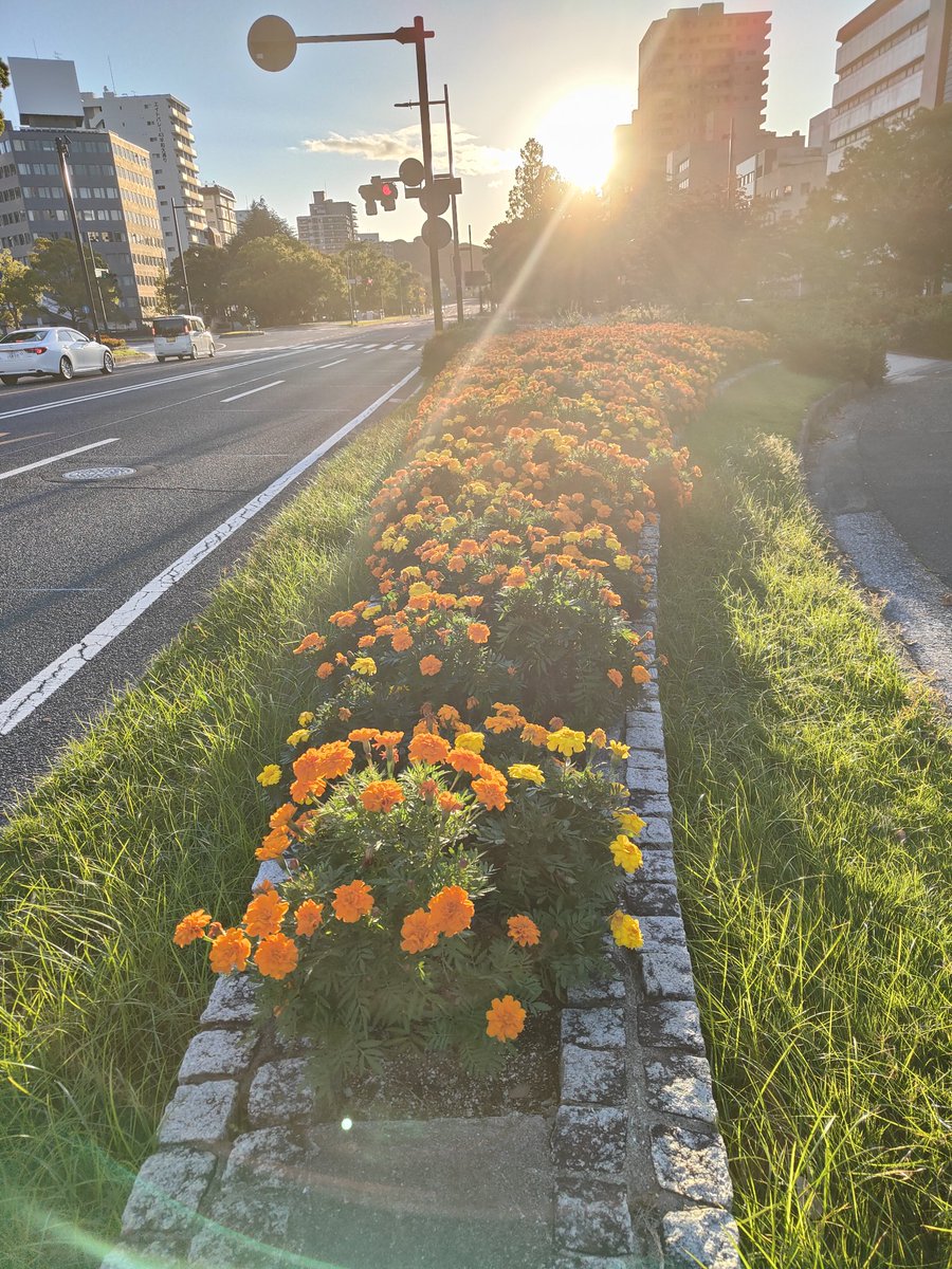 CINCIN(ﾁﾝﾁﾝ） tweet media