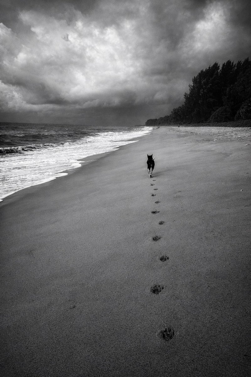 IntegralAnswers tweet media