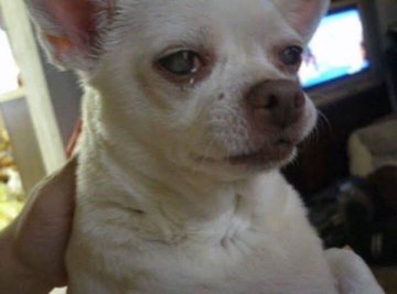 Queen of Entrepreneur tweet media