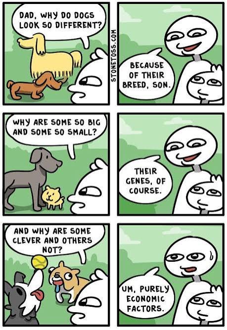 Mark Elevate tweet media