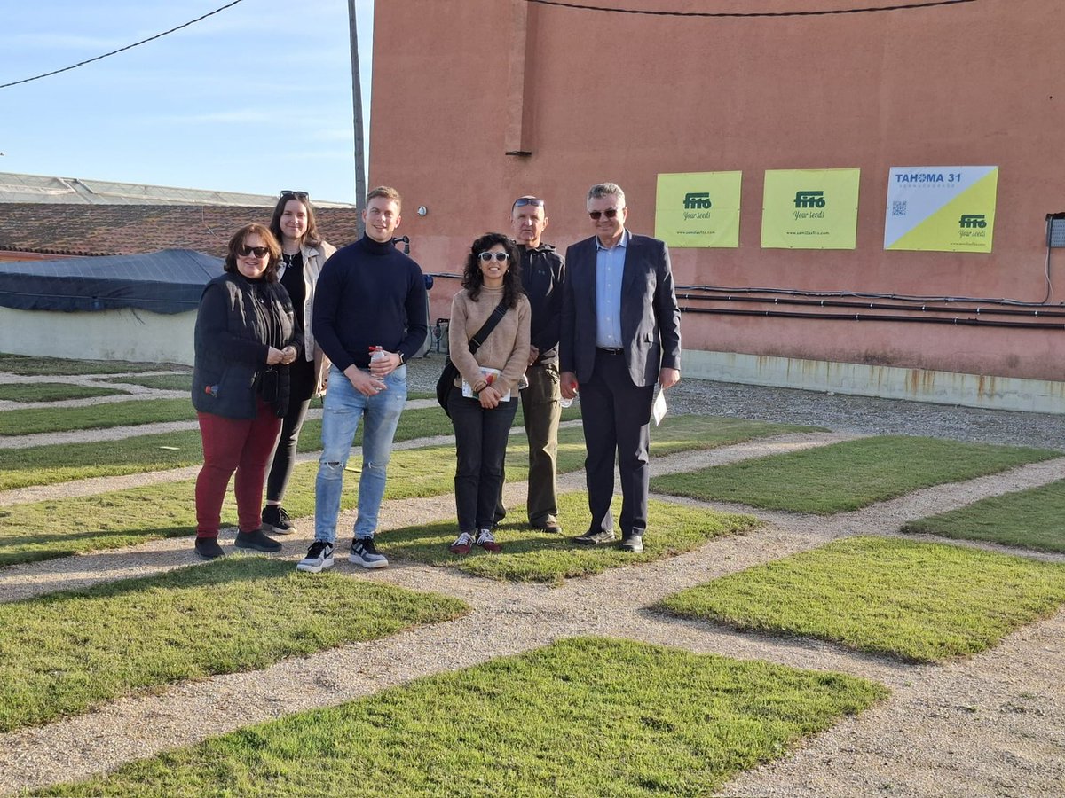 SemillasFitoTG's tweet photo. @X Welcoming our long-time Slovenian distributor and their new team to our production facility and trial fields in Cabrera.
 🌱 Two days of technical &amp; commercial alignment, new varieties, and sports turf visits. Growing stronger together 🤝  #Turfgrass #fitoturfgras #fitopeople https://t.co/BpNtRNtmzg