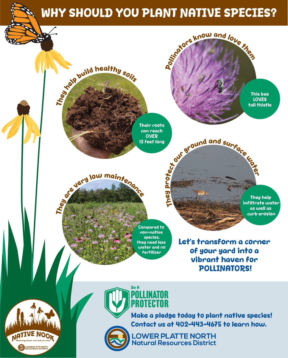 Lwr Platte North NRD tweet media