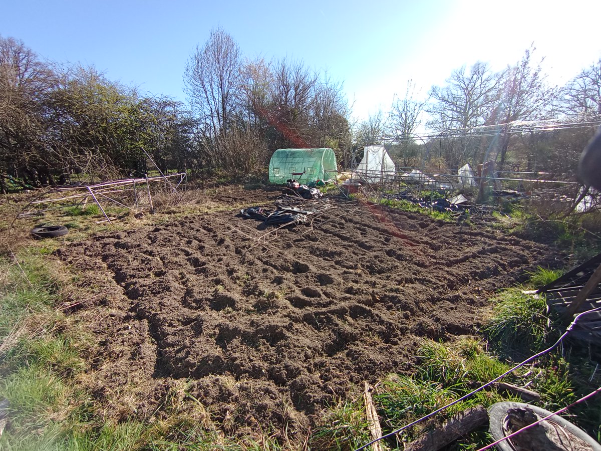 Dimitri Gilbert tweet media