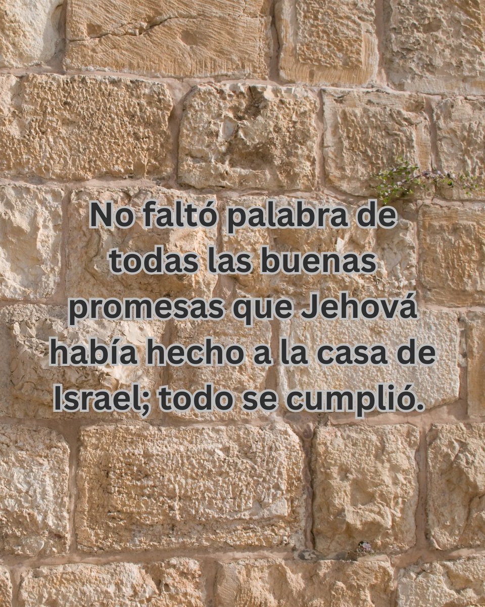 Asambleas de Dios EUA tweet media