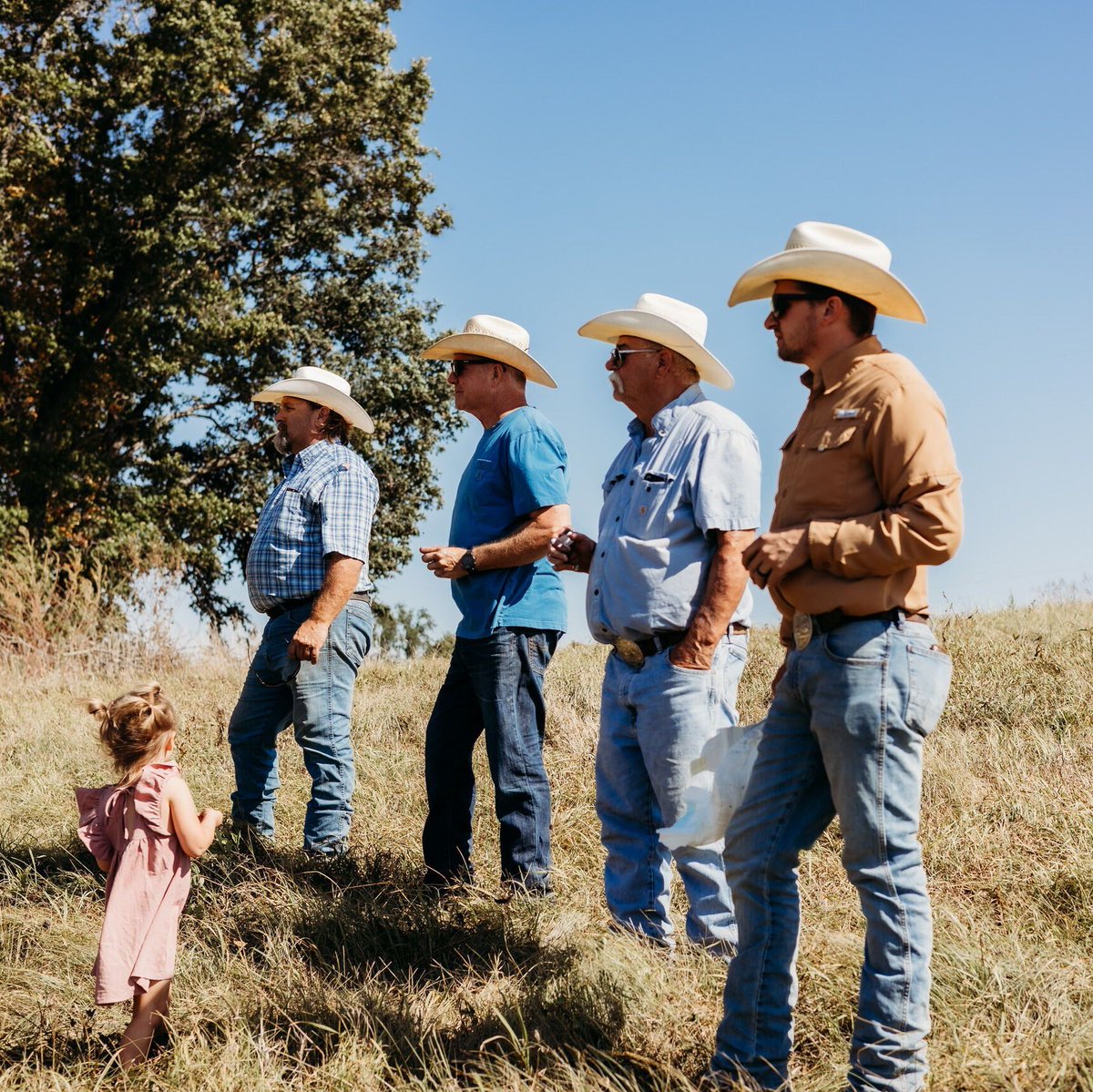 UNL Center for Ag Profitability tweet media
