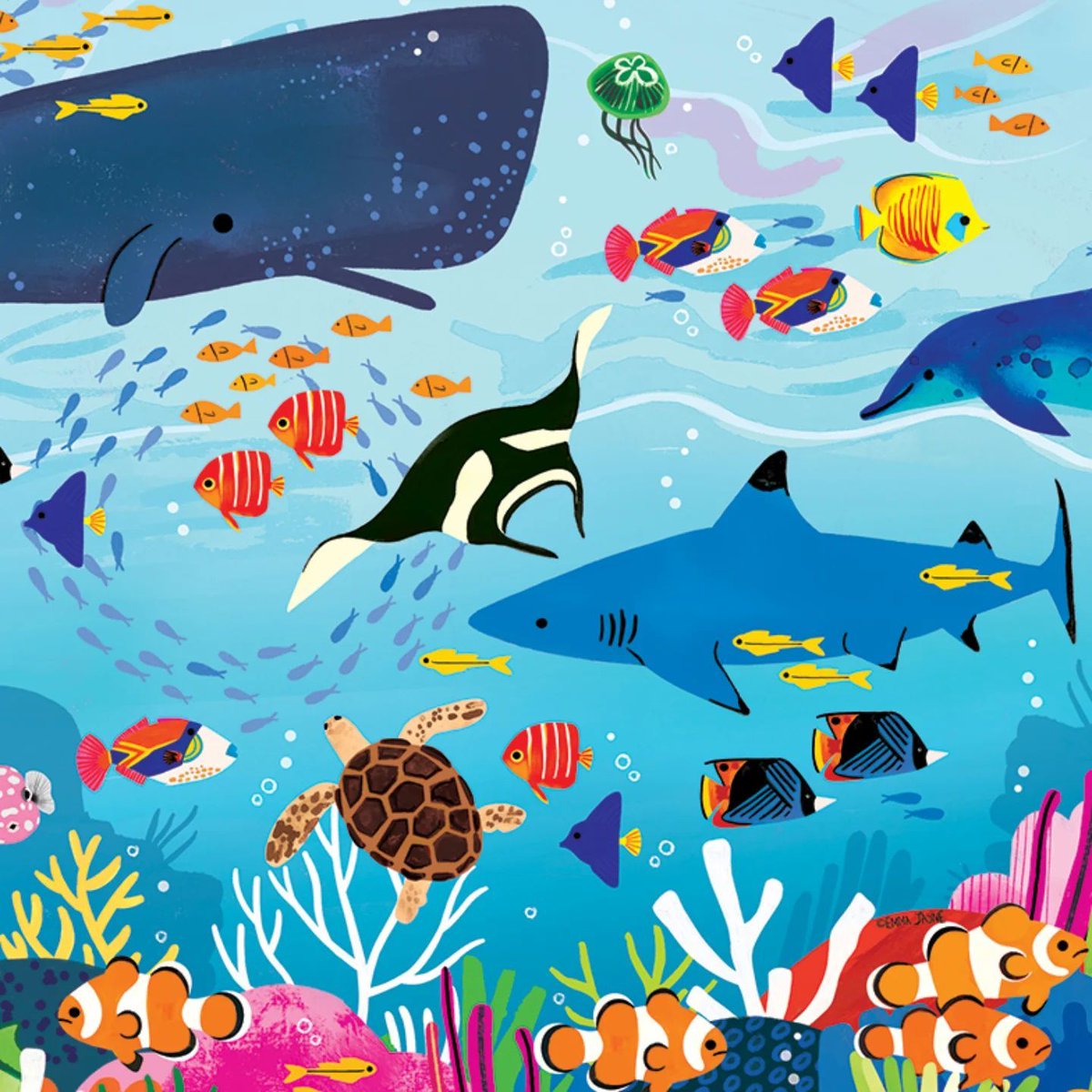 World Ocean Day tweet media