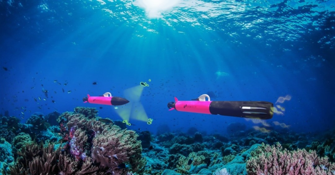 Info vétérinaire tweet media