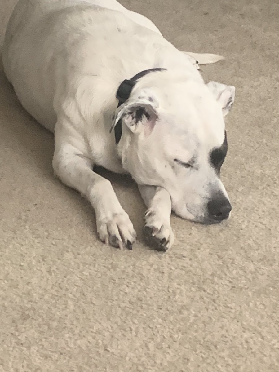 OrbitingIo tweet media