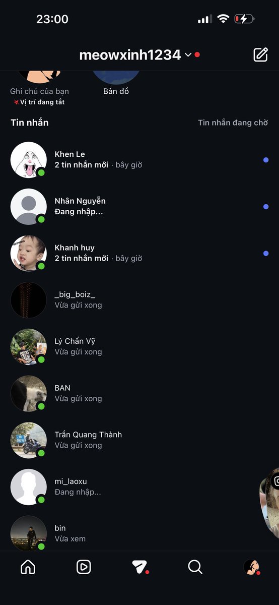 mèo tweet media