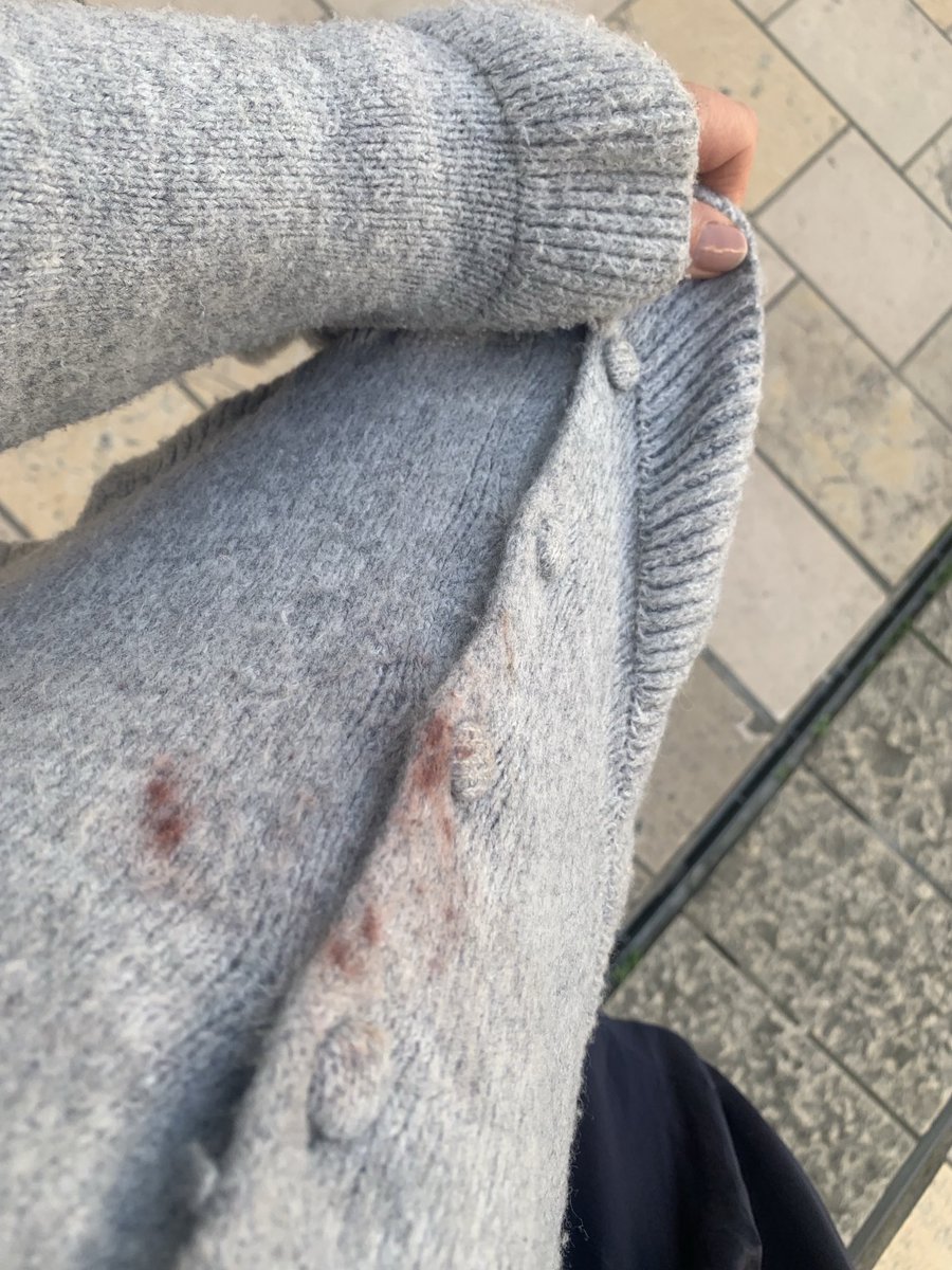 pimpignole 37 🐞 tweet media