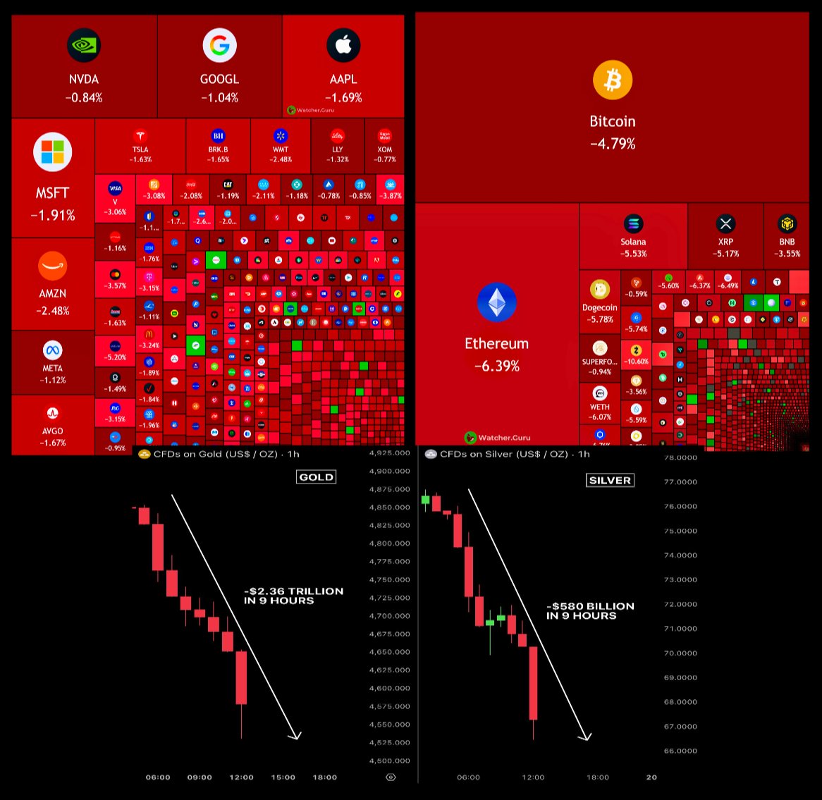 Stephanie 🇬🇧🇺🇸🦍 tweet media