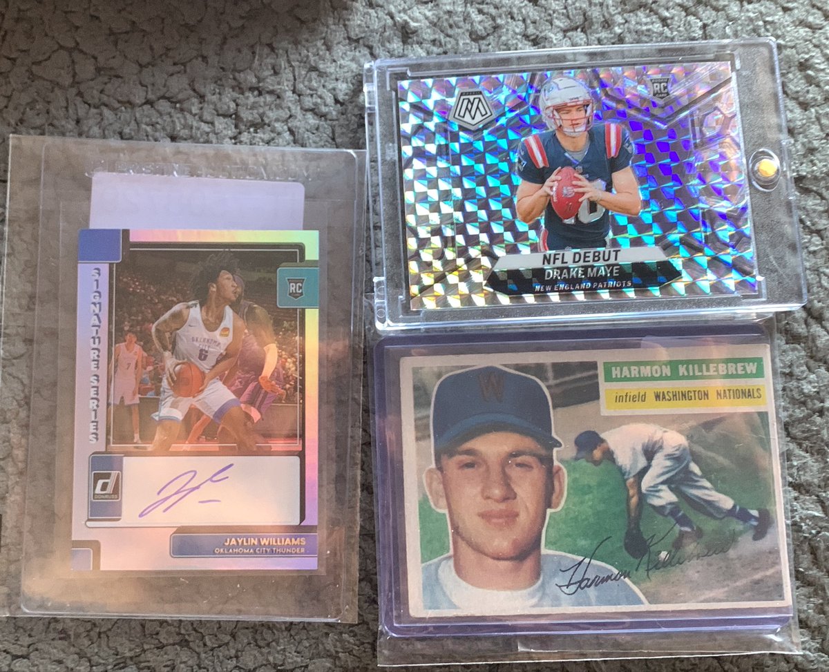 HFAN🐗 tweet media