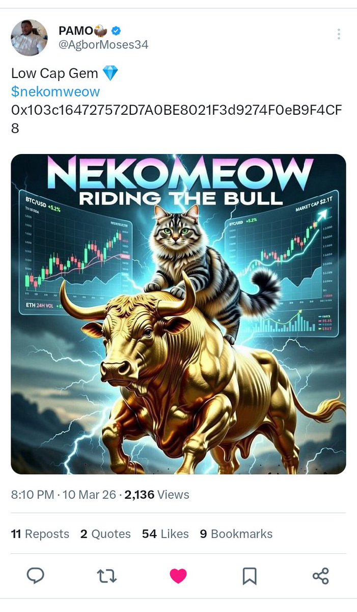 I saw sir <a href="/AgborMoses34/">PAMO🦅</a> call $gtan from a very low MC right now it's creating new ATH 

I was there when he called $ZDK currently it's doing a new ATH 

Few weeks ago he called $nekomeow which surged high from about 7k to 25k it's currently sitting around 8k 
We are still early