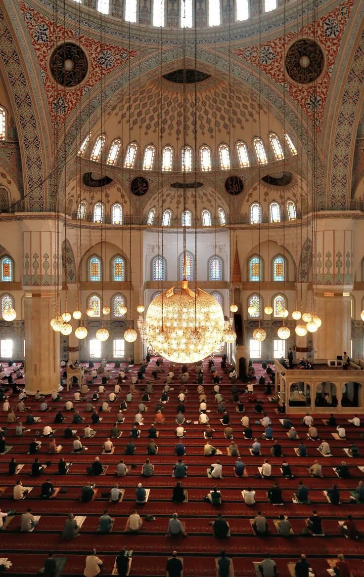 بَليـغٌ tweet media